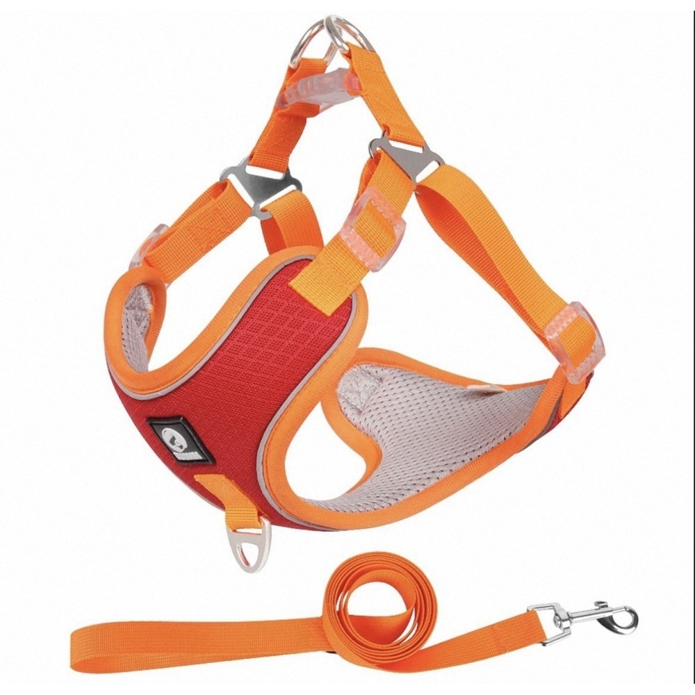 Dog Puppy Harness & Leash Set Mesh Vest Adjustable Reflective Comfortable Small